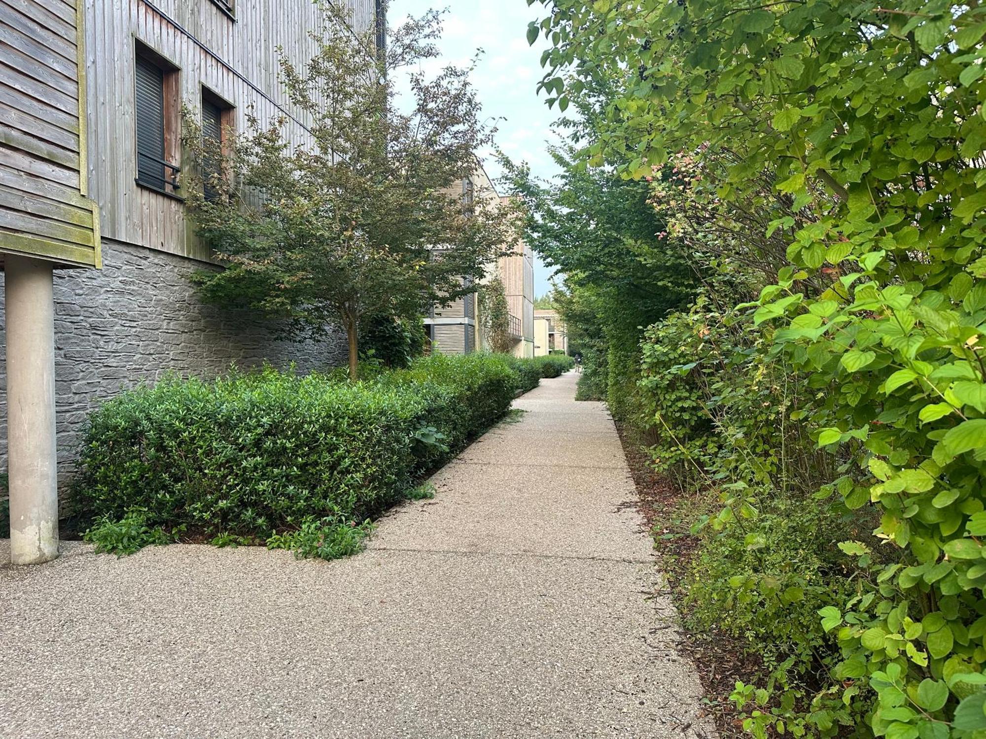 Suite Alya Appartement Proche Disneyland Marne-la-Vallée Εξωτερικό φωτογραφία